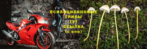 ГАЛЛЮЦИНОГЕННЫЕ ГРИБЫ Абдулино