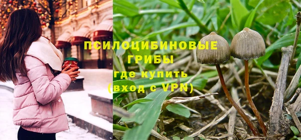 трава Няндома