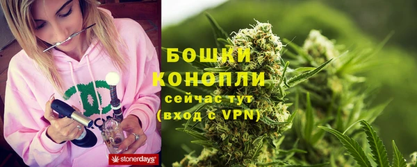 ГАЛЛЮЦИНОГЕННЫЕ ГРИБЫ Абдулино