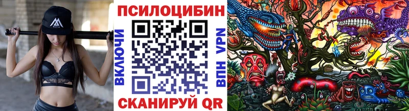 hydra tor Старая Русса Галлюциногенные грибы Magic Shrooms закладки